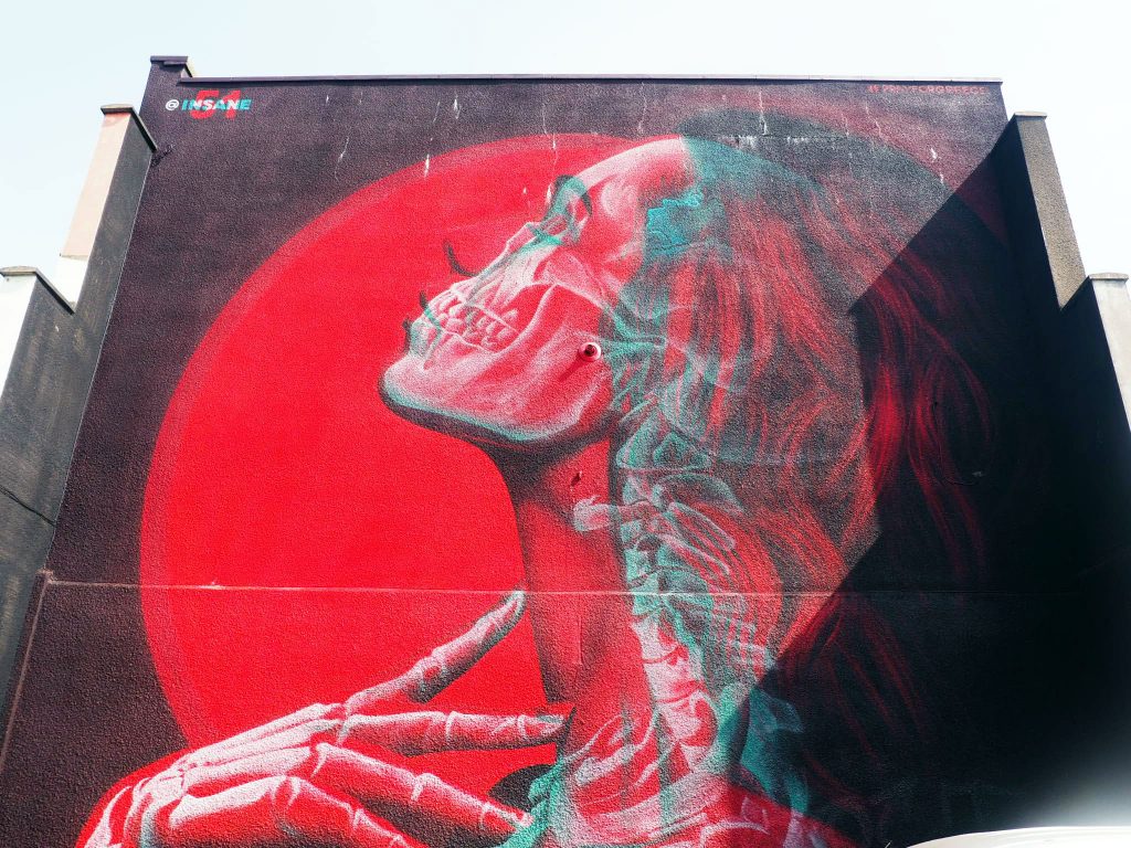 Street Art by INSANE51 at Upfest 2018
